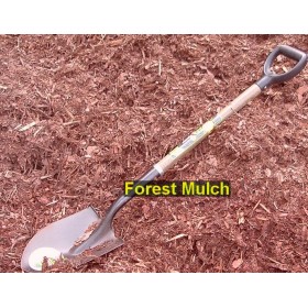 Forest Mulch (Price Per Yard)