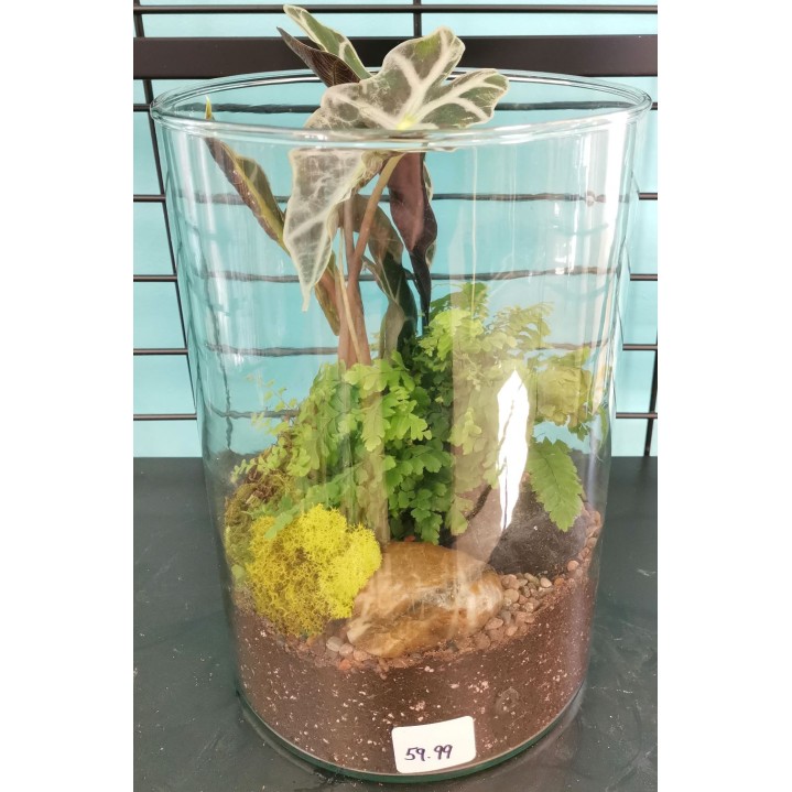 TOWR107 7" Tower Glass Terrarium